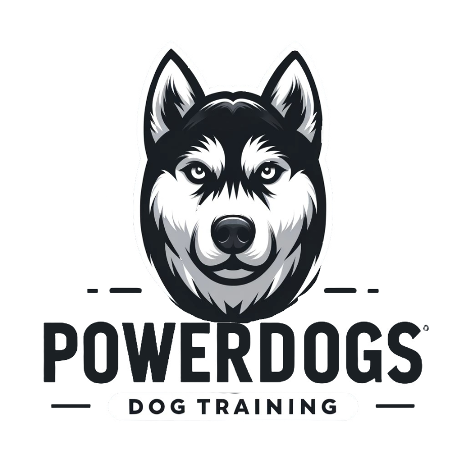 https://dogparkcare.ch/wp-content/uploads/2026/03/powerdogzh-2.png