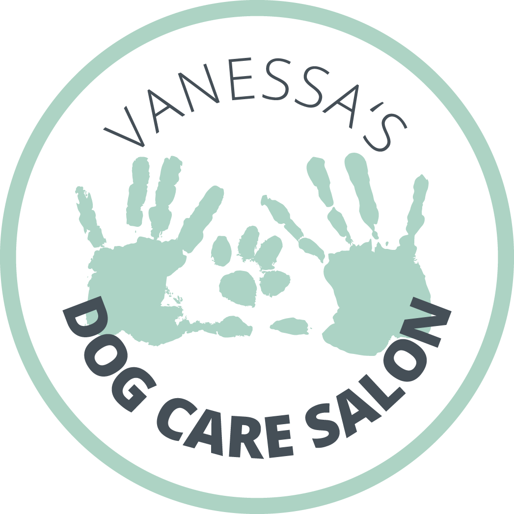 Dog Park Care_regensdorf_hunde_coiffeur_salon